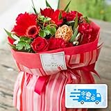 【鮮度そのまま】[総理大臣賞受賞デザイナー監修] 自立する 生花 花束 らくらくブーケ Mサイズ (レッド) (残暑見舞い/敬老の日/ギフト/ラッピングしてお届け/お誕生日/結婚記念日/お祝い) [秦野市の花屋 フローリストせきど]