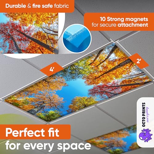Image of Fluorescent Light Covers for Ceiling Lights - 4 Seasons Magnetic Cover for Fluorescent Or LED Fixture - Must Haves Teacher Supplies - Classroom, Home, Office Cubicle Decor - Filters Overhead Lighting