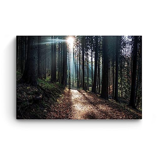 Startonight Canvas Wall Art Abstract Path Through The Forest Painting For Living Room 32" X 48" #TOP2