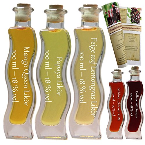 beliebtes Geschenkset & Probierset | 5 x 100ml | Mango Queen Likör 18% - Kirsch Likör Grappa 25% -...