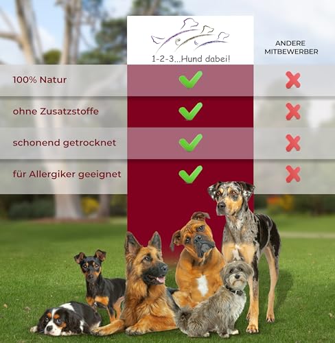123...Hund dabei! - Büffel-Lunge 3kg, Rinderlunge XXL-Pack, fettarm, getrocknetes Rindfleisch, schonend getrocknet, Kauartikel vom Rind (Rinderlunge)