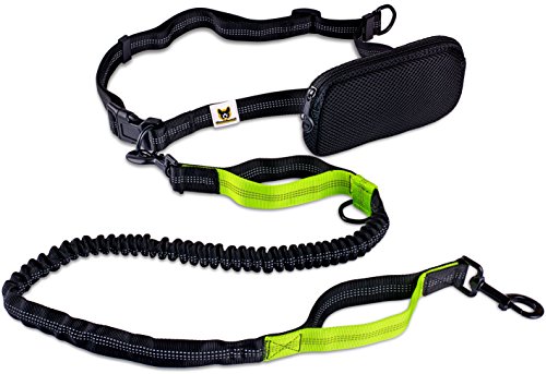 Correa para hacer jogging  Para perros, reflectante y elástica, de 120 cm (extensible hasta 200 cm), con cinturón y riñonera  Ideal para correr, dar paseos o excursiones con manos libres