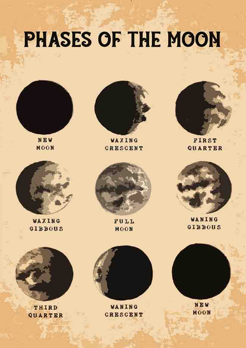 Phases Of The Moon Chart Metal Tin Signs Triple Moon Goddess Knowledge Posters Astronomers Collection Wall Decor Home Office Guide Science Plaque 8x12 Inches