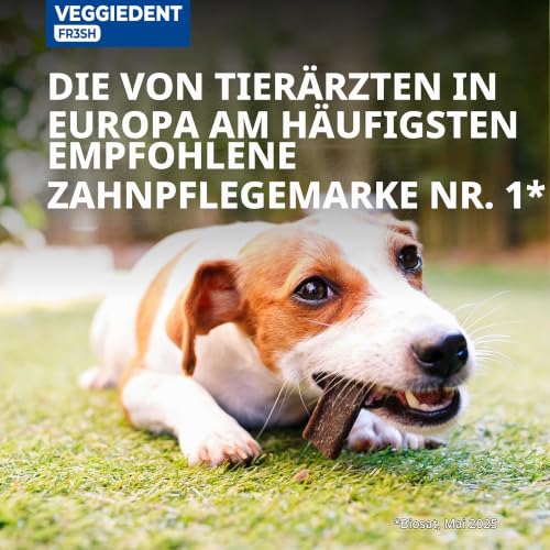 VEGGIEDENT Fresh XS – Ansicht 6
