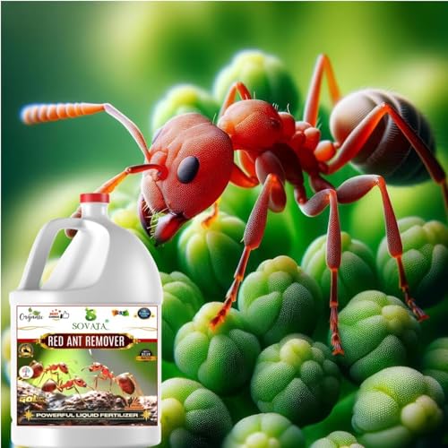 Image of Red Ant Remover, Essential Organic Powerful Liquid Insecticide for Removing all types of red ants and insects from Plants and soil. (1000 ml)