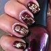 Winstonia Nail Stamping Plate Summer Spring Floral and Flowers Manicure Designs