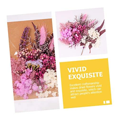 Flores secas para decoración y DIY 1 bolsa miniatura 3
