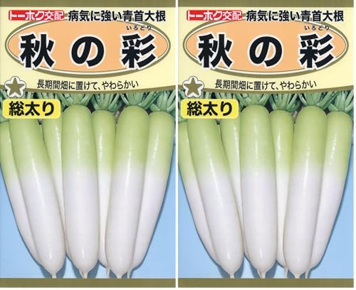 ������Ѓg�[�z�N �a�C�ɋ�����卪 �H�̍� 05823 (× 2)