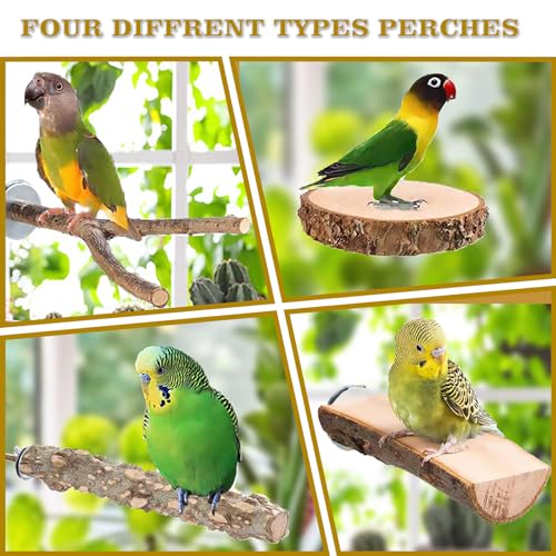 Image of 4PCS Bird Perches Parrot Stand Toys Platform Cage Accessories Paw Grinding Fork Branches Chewing Exercise Stick for Parakeets Cockatiels Conures Budgies Macaws Parrotlets Lovebirds Finches