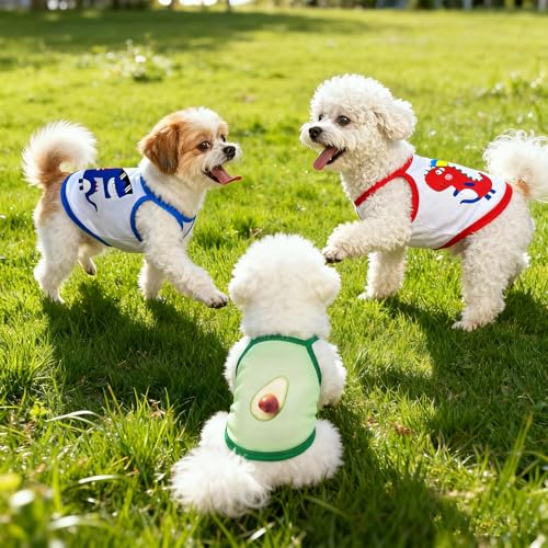 Ropa para perros y gatos paquete 3 piezas XXL miniatura 6