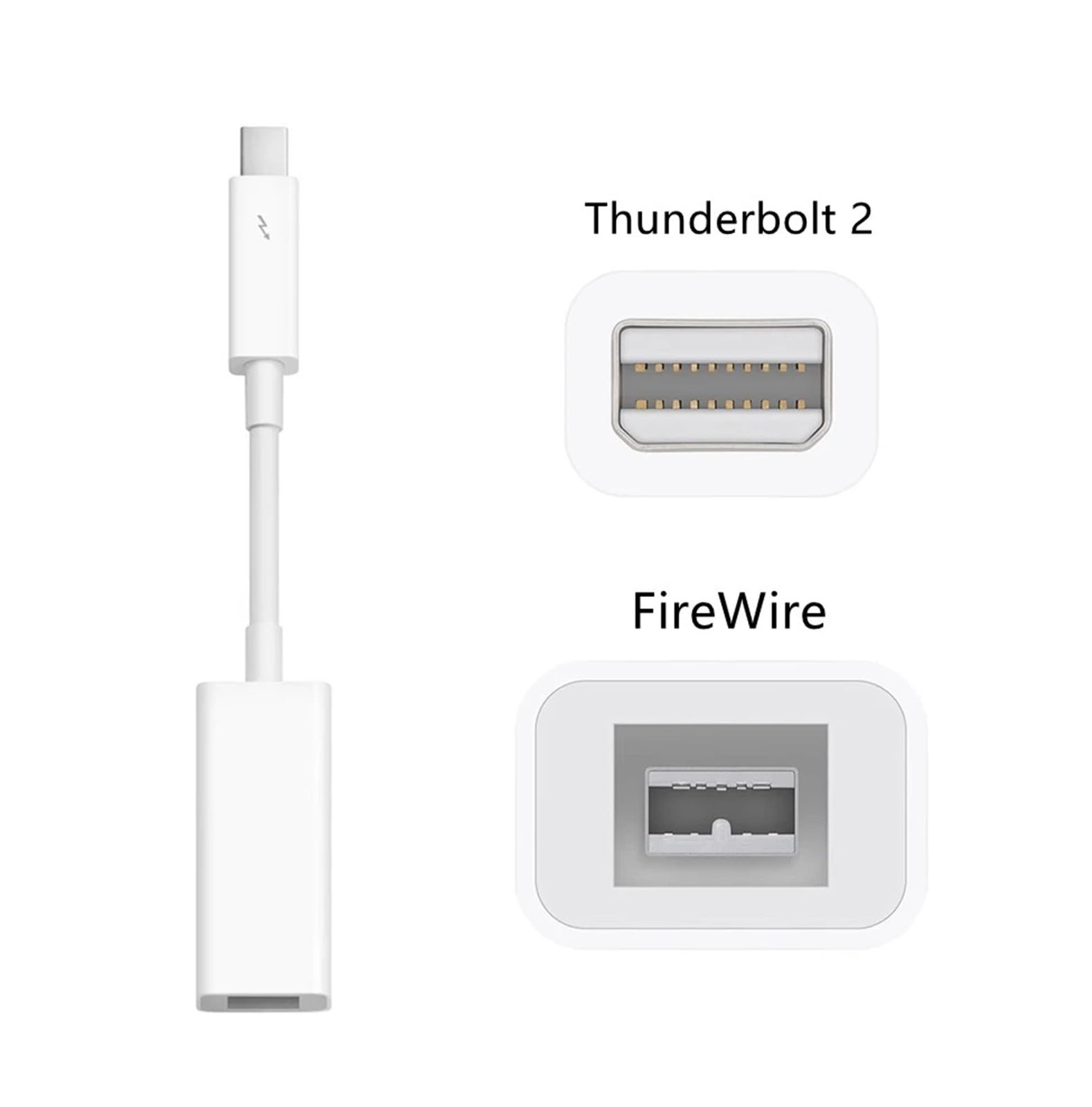 Adaptateur Thunderbolt vers FireWire 800 Compatible Thunderbolt 2 FireWire 1394B