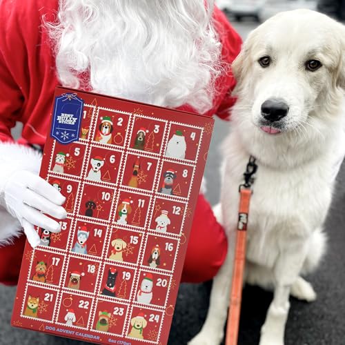Best Bully Sticks 2024 Dog Advent Calendar With Dog Treats thumb #5