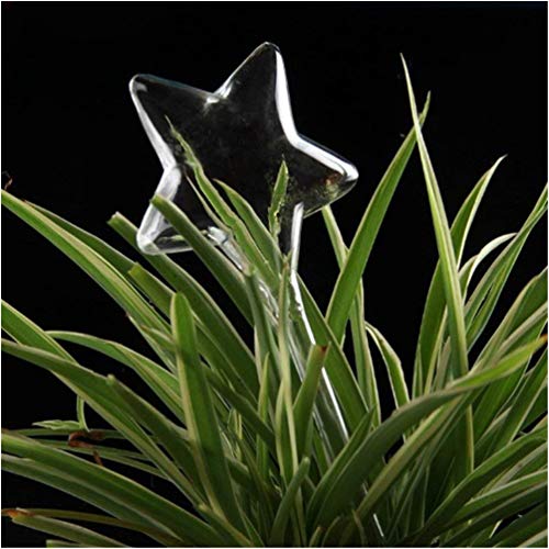 AMILIEe Self-Watering Stakes, Plant Waterer Self Watering Globes, Hand Blown Clear Glass Plant Water Bulbs for Indoor, Outdoor, Hanging or Patio Plants (Star, 1)