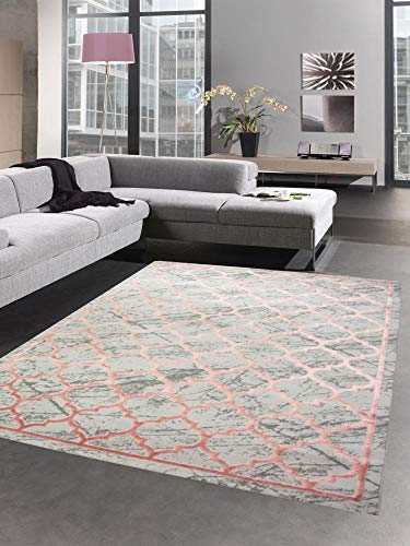 CARPETIA Teppich Wohnzimmerteppich marokkanisches Muster grau rosa Größe 80x150 cm