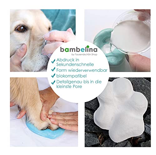 bambelina® Gipsabdruck Set Hundepfote und Hundenase. 3D Abdruck-Set Hund und Katze für Pfote und Schnauze, wiederverwendbare Gießform, Deutsche Herstellung, Pfotengröße XS bis M