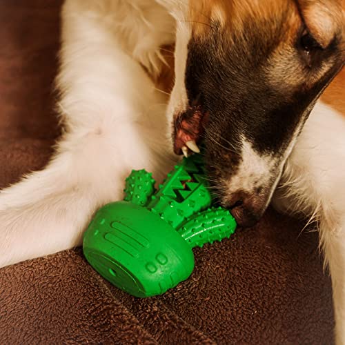 Dingo Hundespielzeug aus Hart Gummi TPR Kaktus 17,5 cm 17313