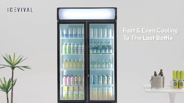 Image of 21 Cu.Ft Commercial Display Refrigerator with Double Glass Doors