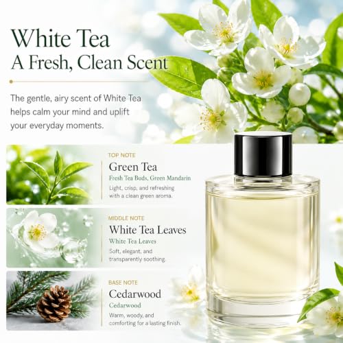 Image of Amor Lyris 5.7 fl oz Car Air Freshener Refill, Perfume Oil for Smart Car Diffuser, Long-Lasting up to 6 Months, Made with Natural Plant Extracts, White Tea