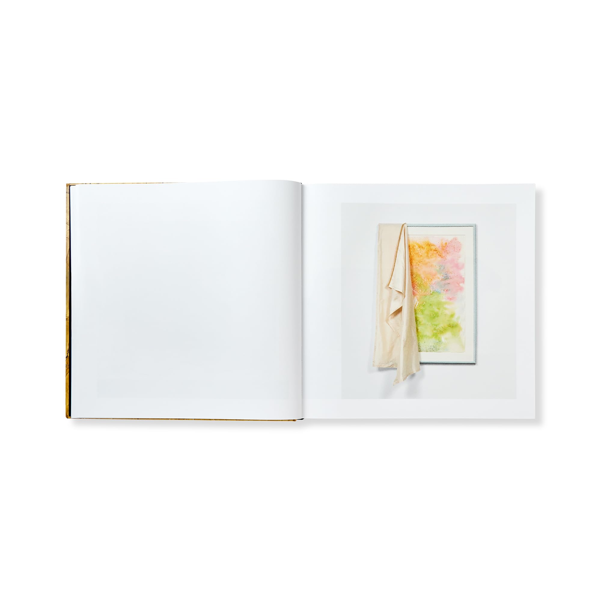 David Hammons