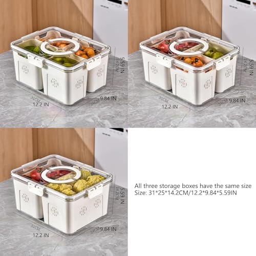 Image of Vasukie Divided Fridge Storage Boxes With 4 Serving Veggie Tray with Lid and Handle, Fridge Organizer with Removable 4 Compartment, Fridge Storage Containers (4 Large Compartment-1PC)