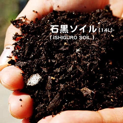 Amazon 庭植えに使う土 石黒ソイル Ishiguro Soil 14l 堆肥 資材 土壌改良材 土壌改良剤 庭植え 専用用土 Diy 工具 ガーデン
