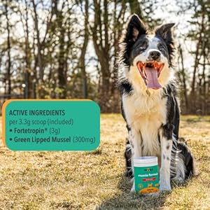 MYOS Canine Muscle & Joint Supplement – Fortetropin & Green Lipped Mussel for Enhanced Strength and Mobility in Dogs (198, Grams)
