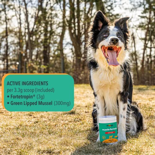 MYOS Canine Muscle & Joint Supplement – Fortetropin & Green Lipped Mussel for Enhanced Strength and Mobility in Dogs (198, Grams) MYOS Canine Muscle & Joint Supplement – Fortetropin & Green Lipped Mussel for Enhanced Strength and Mobility in Dogs (198, Grams)