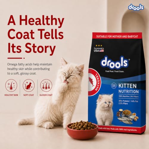 Drools Kitten Dry Cat Food, Mackerel, 1 kg - Image 6