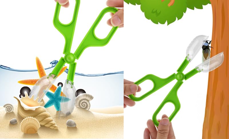 Image of Live Caterpillar to Butterfly Kit - 7pcs Butterfly Habitat,Butterfly cage,Caterpillars for Butterflies Kit 7 Pieces,Insect Mesh Cage