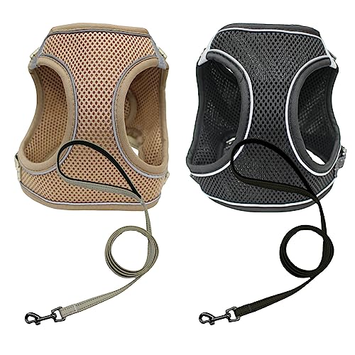 xXgAT[ ybgp ^[h n[lX [hZbg ubN STCY n[lX N`  L   [h ybg U   EFAn[lX ͂Ȃ ^ ^