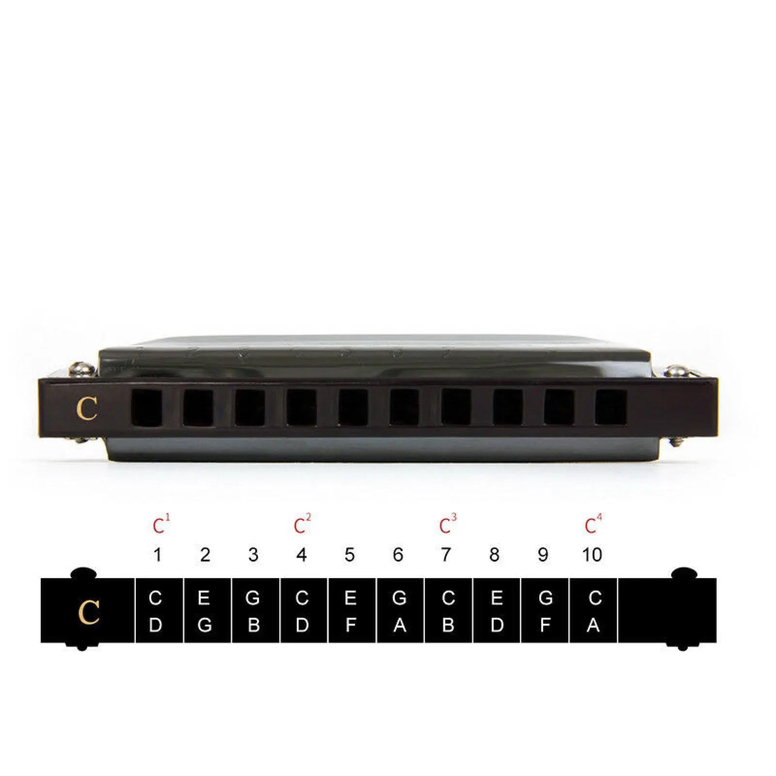 Einsteiger Mundharmonika Mundharmonika Aus Edelstahl 10 Löcher C-Dur Mit Stimmzungen Phosphorbronze