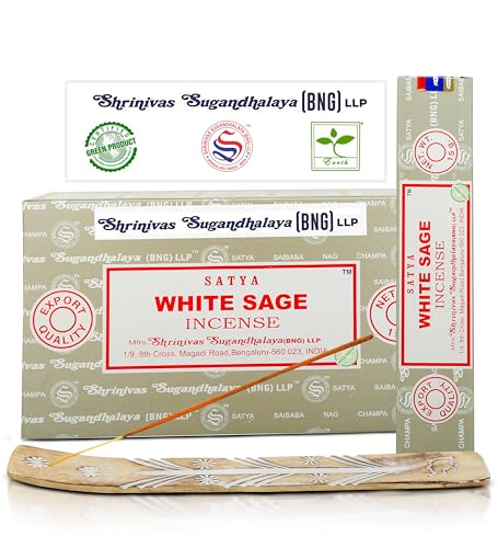 Satya Nag Champa White Sage Incense Sticks, SatyaBng (Bangalore) Insenses 15gmx12 Pack with Raajsee Insence Holder Bundle, Nag Champa Natural Incense
