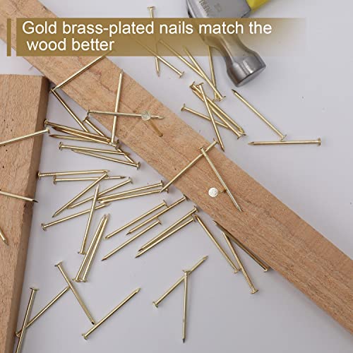 Image of JEGONFRI 120PCS 2 inch x 13Ga Brass Plated Nails for Hanging Pictures &Woodwork | Premium Carbon Steel Construction, Flat Head, Rust-Resistant Finish, Smooth Surface, Versatile Use For DIY And Repairs