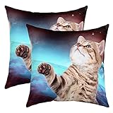 ★ tissu utilisé. Fait de 100% polyester, le même tissu dans les zones avant et arrière, doux et durable; La fermeture à glissière invisible sur la taie d'oreiller est bien cousue sans fil lâche. Simple et belle. Facile à entretenir et lavable en machine.