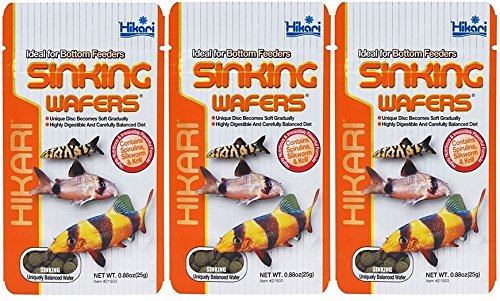 Hikari Tropical Sinking Wafer 0.88-Ounce (3 Pack)
