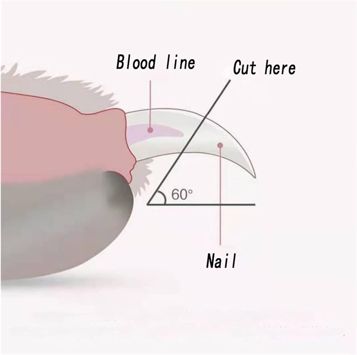 Dog Claw Care Cat Nail Clipper with Light Pet Dogs Grooming Tool Professional Cats Cutter Claw Scissors for Puppy Pets Toe Claws Clippers