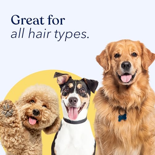 Honest Paws Waterless Dog Shampoo – Dog Dry Shampoo No Rinse Spray, Reducing Itch Cleanse Hydrate Nourish Dry Skin and Smelly Coat Help Decrease Odor Shedding and Allergies – Oatmeal & Lavender – 8 oz Honest Paws Waterless Dog Shampoo – Dog Dry Shampoo No Rinse Spray, Reducing Itch Cleanse Hydrate Nourish Dry Skin and Smelly Coat Help Decrease Odor Shedding and Allergies – Oatmeal & Lavender – 8 oz