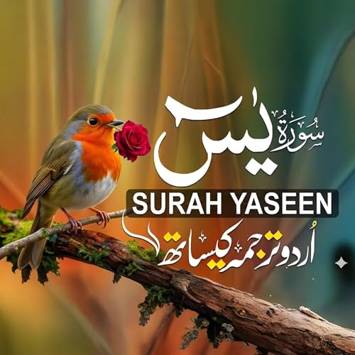 Surah Yaseen Full | Urdu Translation | Peaceful Tilawat (Ep 019) Surah Yasin with Urdu Tarjuma | Healing Quran Recitation