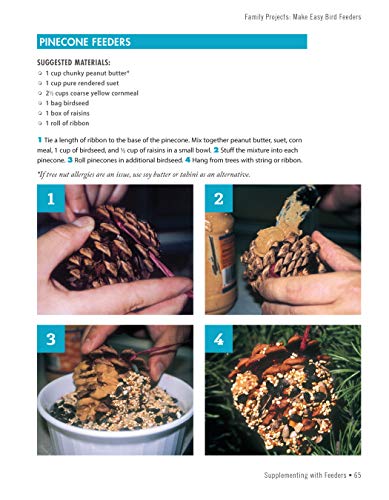 National Wildlife Federation(R): Attracting Birds, Butterflies, and Other Backyard Wildlife, Expanded Second Edition (Creative Homeowner) 17 Projects & Step-by-Step Instructions to Give Back to Nature - Image 6