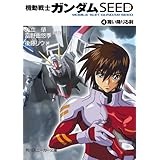 機動戦士ガンダムＳＥＥＤ　４　舞い降りる剣 (角川スニーカー文庫)