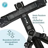 Petlando Hundegeschirr gepolstert, Mesh Y-Comfort, weich, stufenlos verstellbar, besonders leicht & atmungsaktiv, fellschonend, ergonomisch, Brustgeschirr für mittelgroße Hunde, Schwarz, M