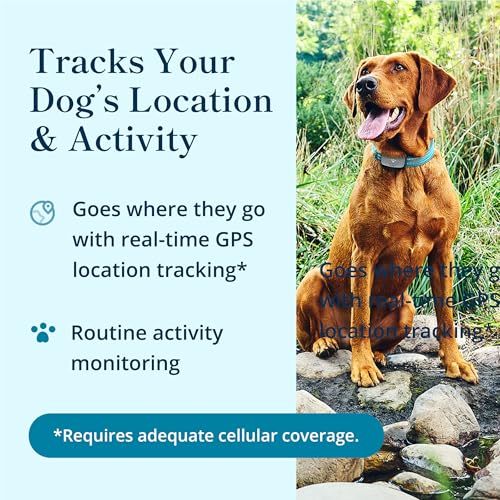 Petivity Smart GPS and Activity Pet Tracker for Dogs Powered by Purina, Waterproof Real Time Tracking GPS Dog Collar, Downloadable App, Subscription Required - Image 3