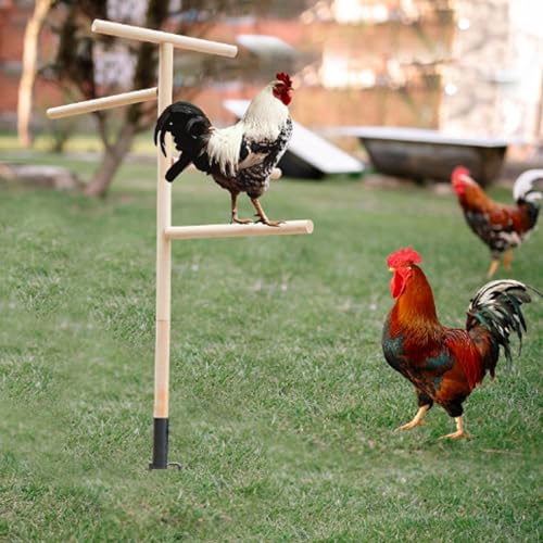 Image of Diydeg Extra Large Chicken Perch Toys, Wooden Chick Perch Stand with Metal Ground Plug, Outdoor Birds Training, Chicken Coop Accessoriess for Large Bird Parrot Poultry Rooster