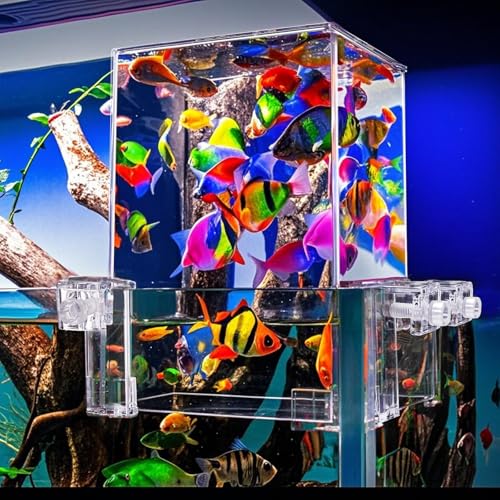 Image of Okllen Negative Pressure Fish Tank Acrylic, Auto-Refill Hanging Aquarium with Fish Elevator, Water Level Maintenance & 360 View, Space-Saving External Suspended Tank for Betta /Guppy