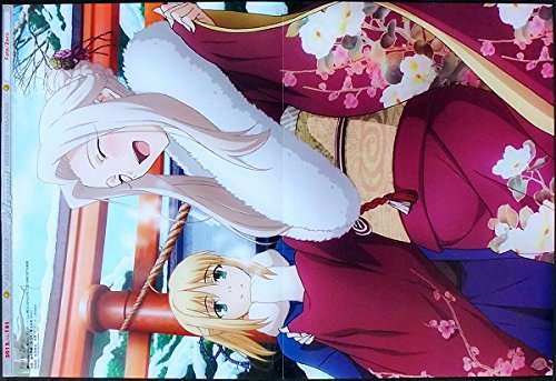 Amazon.co.jp: Fate ピンナップポスター セイバー アイリスフィール