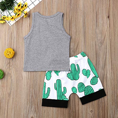 Citgeett Toddler Infant Baby Boy Vest Shorts Set Dinosaur Tank Tops+Pants Outfits Summer Clothes (Cactus, 18-24 Months) #TOP5
