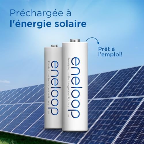 Eneloop Lot de 3 x 4 Piles Rechargeables Ni-MH Micro AAA 800mAh