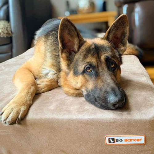 Image of Barker Beds Large Orthopedic Dog Bed - 7 inch Memory Foam Mattress - 50-70 lbs - Joint Pain & Arthritis Support - Vet Recommended, Washable Cover - Made in USA - 48 inchx30 inchx7 inch - Khaki