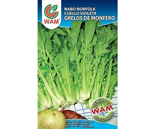 Grelos de Monfero 100gr.