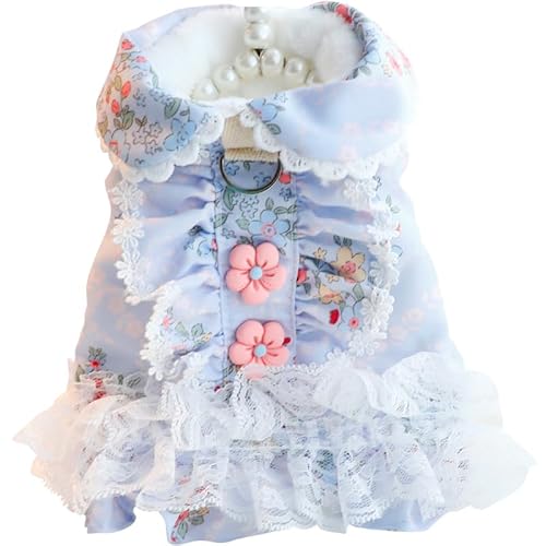 ISUPY   H ~ s[X {A ybg hX XJ[g h g hbOEFA ybgEFA Ȃ m  ^ lC t@bV AEghA ё΍ U o (XL,u[)